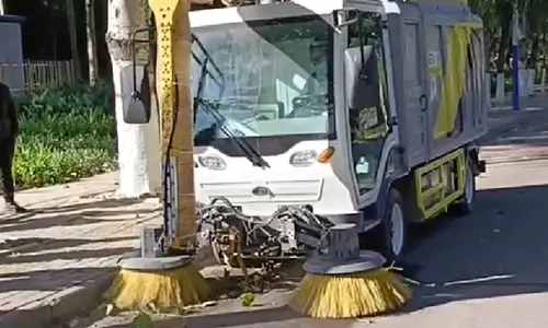 電動(dòng)樹葉收集車城市道路樹葉收集現(xiàn)場(chǎng)