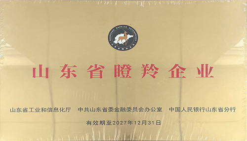 濟南百易長青發(fā)展歷程